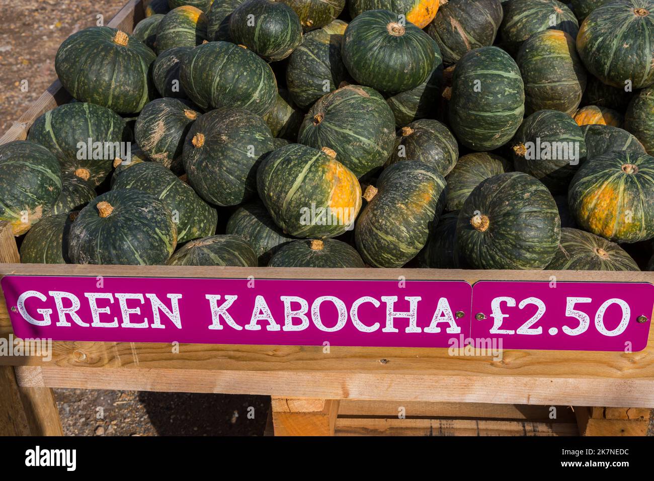 Pumpkin Time at Sunnyfields Farm in Totton, Hampshire UK in October as