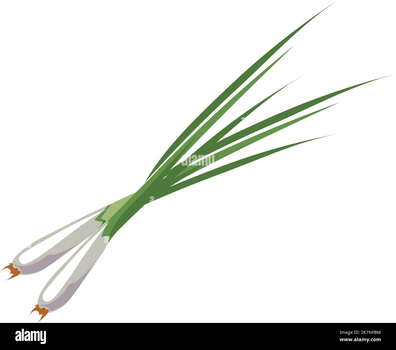 Spring onion cartoon icon. Natural green vegetable Stock Vector