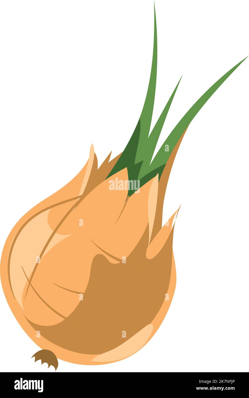 Onion bulb icon. Cartoon vegetable. Raw root Stock Vector