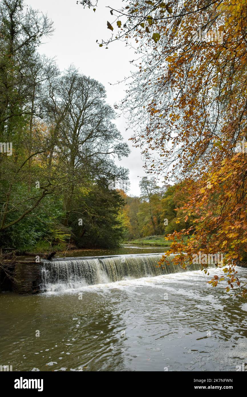Autumn scene at Vassells Park, Oldbury Court Estate, Bristol, UK and the River Frome and weir Stock Photo