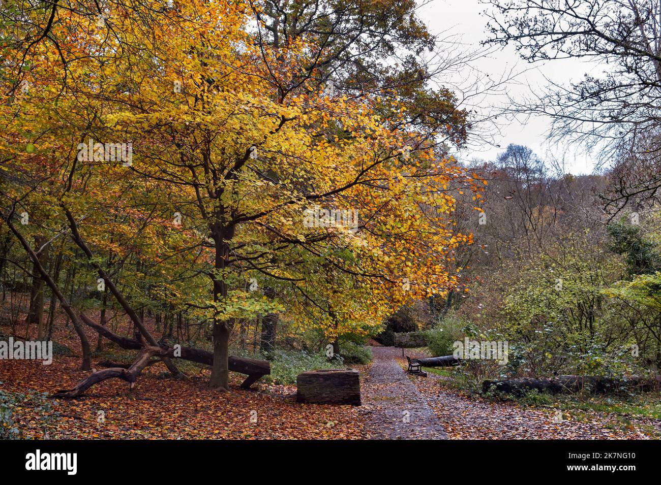 Autumn scene at Vassells Park, Oldbury Court Estate, Bristol, UK Stock Photo