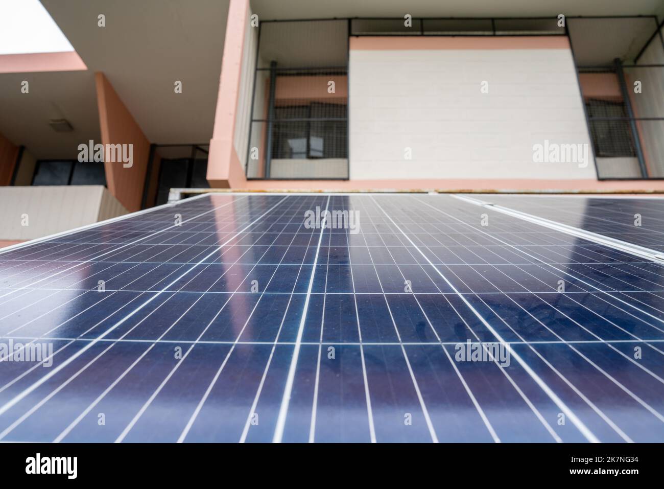 27 Eco-Friendly Apartment Ideas [2024] - Sustainable Energy Apartments