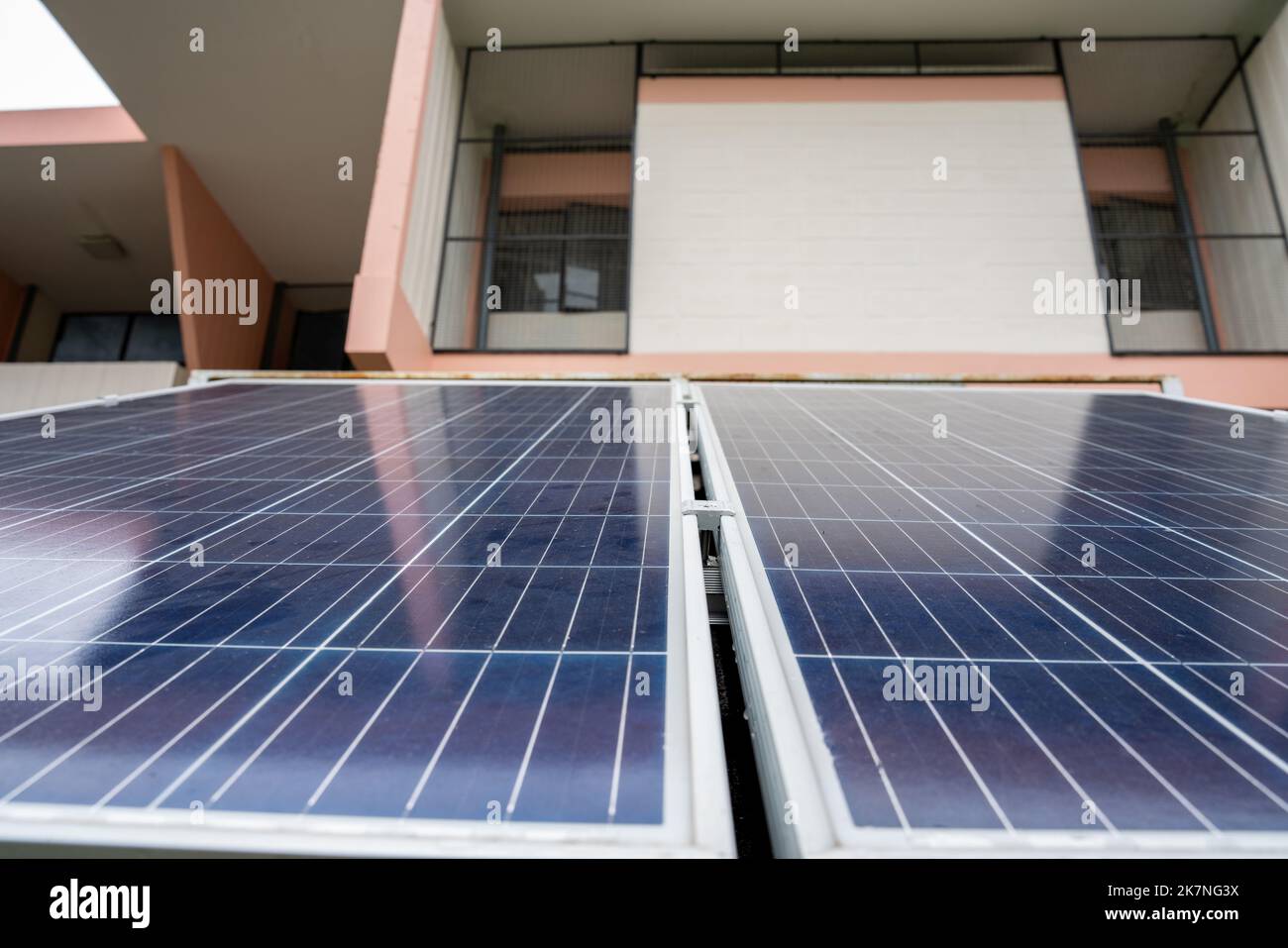 Eco-Friendly Apartments: How Sustainable Living Can Lead to Significant ... - Luxury Apartment Living With Sustainable Energy Sources