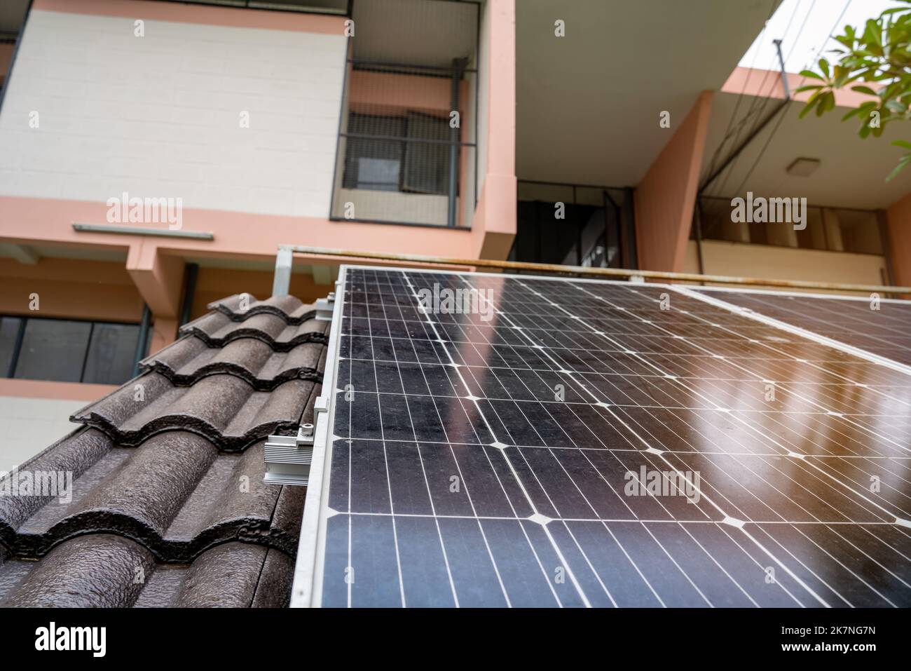 View of Eco-Friendly Apartment Living - 14 Tips & Ideas - TRVST