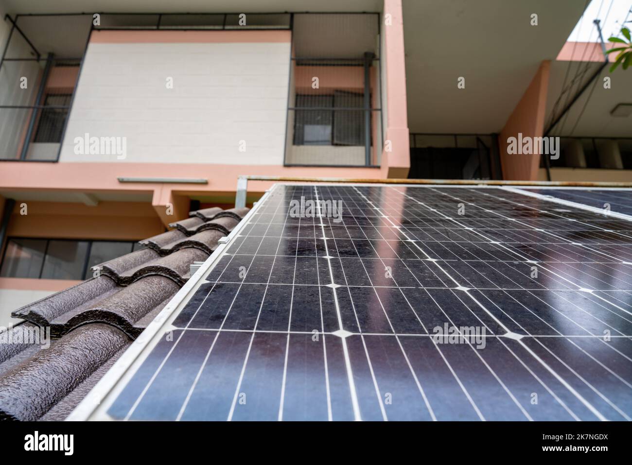 Stunning Green Apartment Renovation Solar Panels image