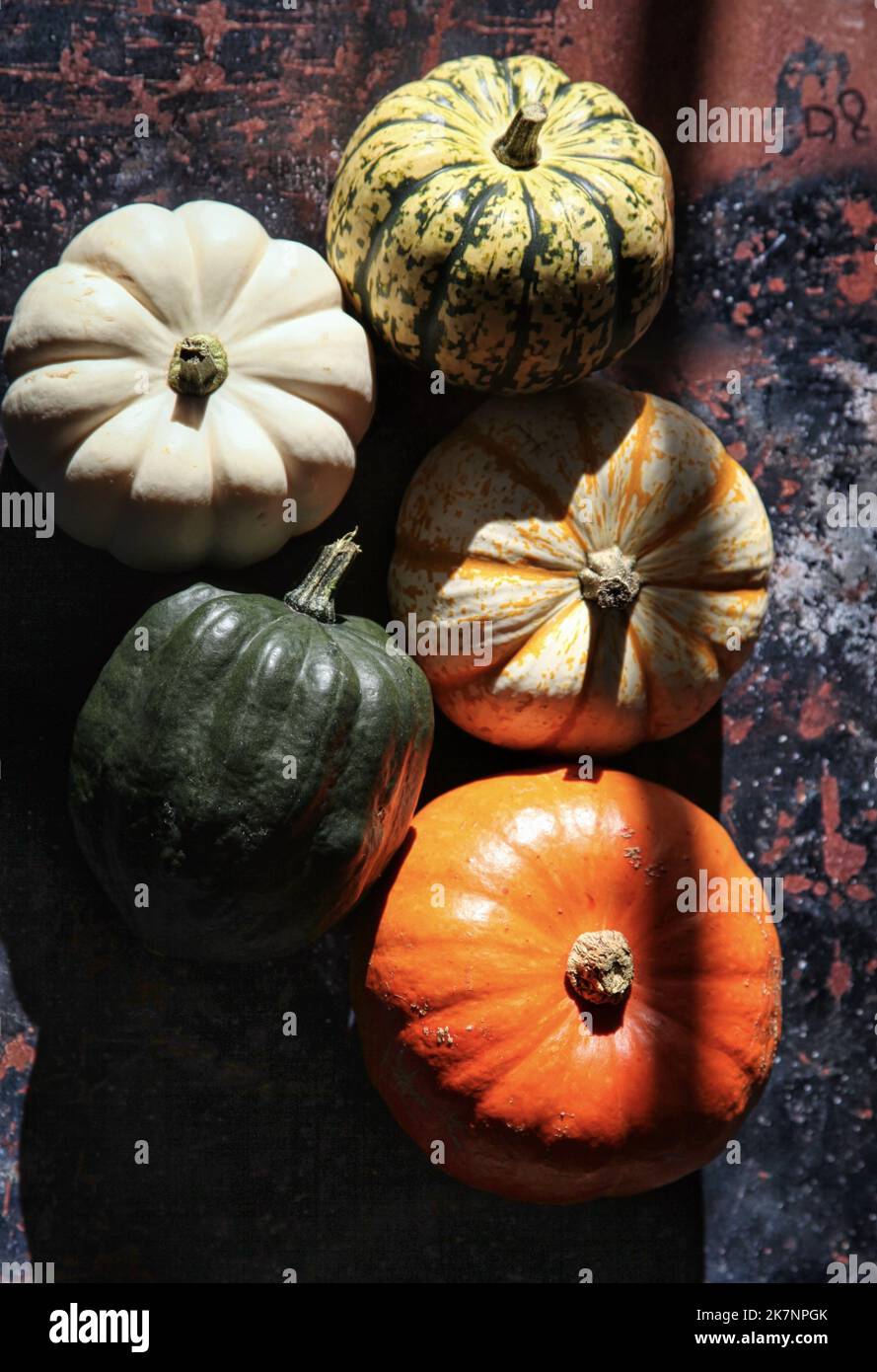 Overhead of Pumpkins and varieties of squash in sunlight arranged on ...