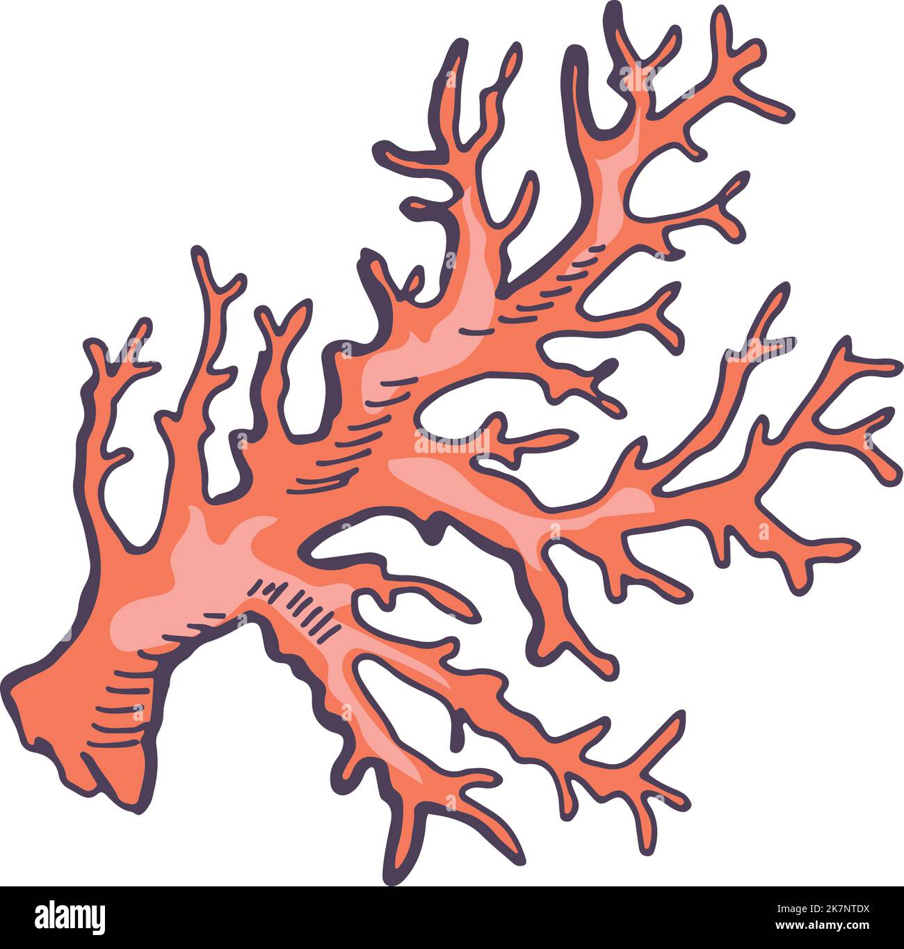 Red coral sketch. Underwater fauna. Reef symbol Stock Vector Image