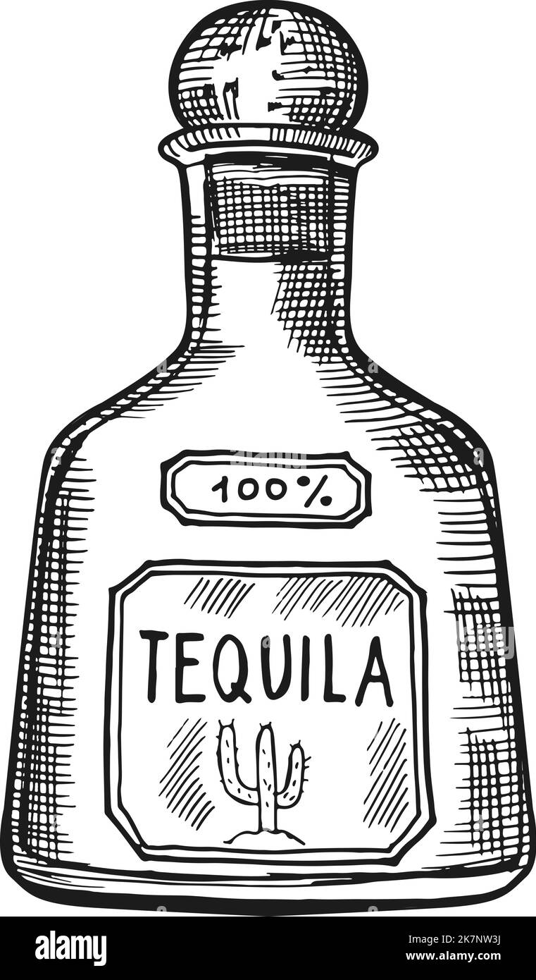 Tequilla bottle engraving. Mexican alcohol drink sketch Stock Vector