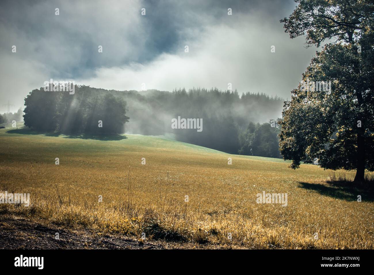 Landschaft im Morgengrauen Stock Photo