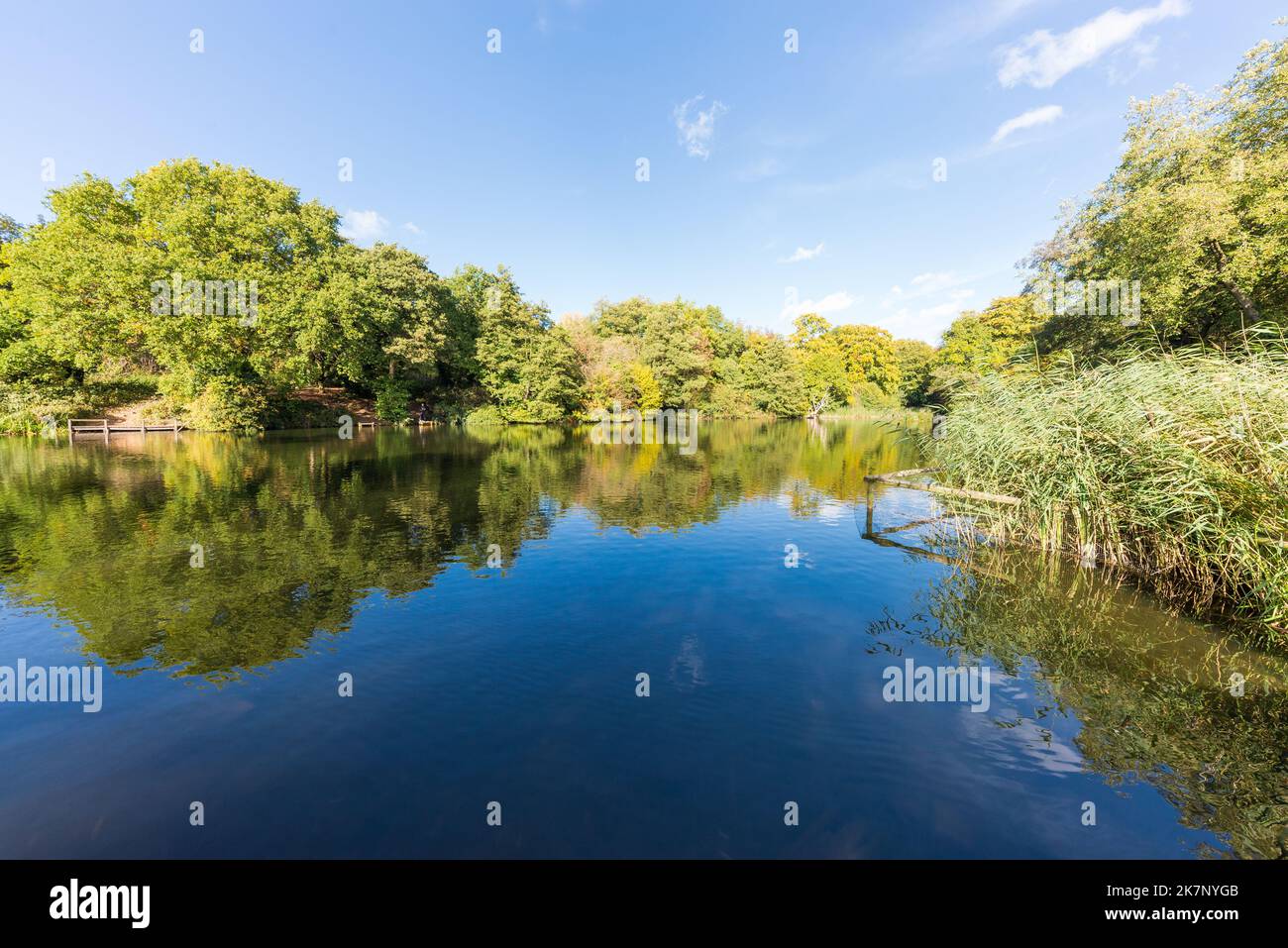 Autumn colour at The Leasowes Park which is a grade 1 listed park in