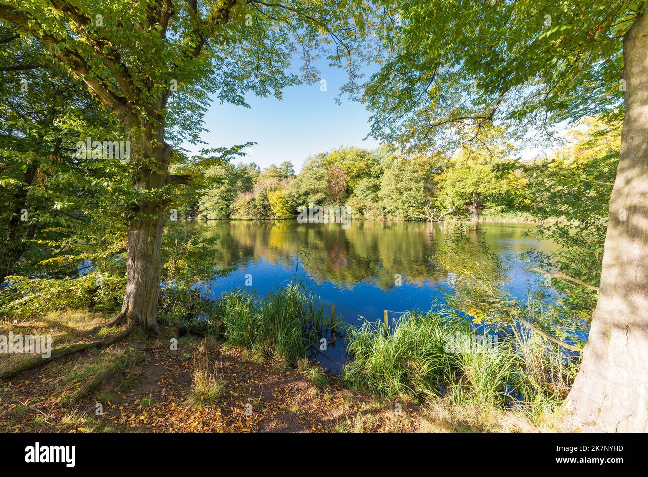 Autumn colour at The Leasowes Park which is a grade 1 listed park in
