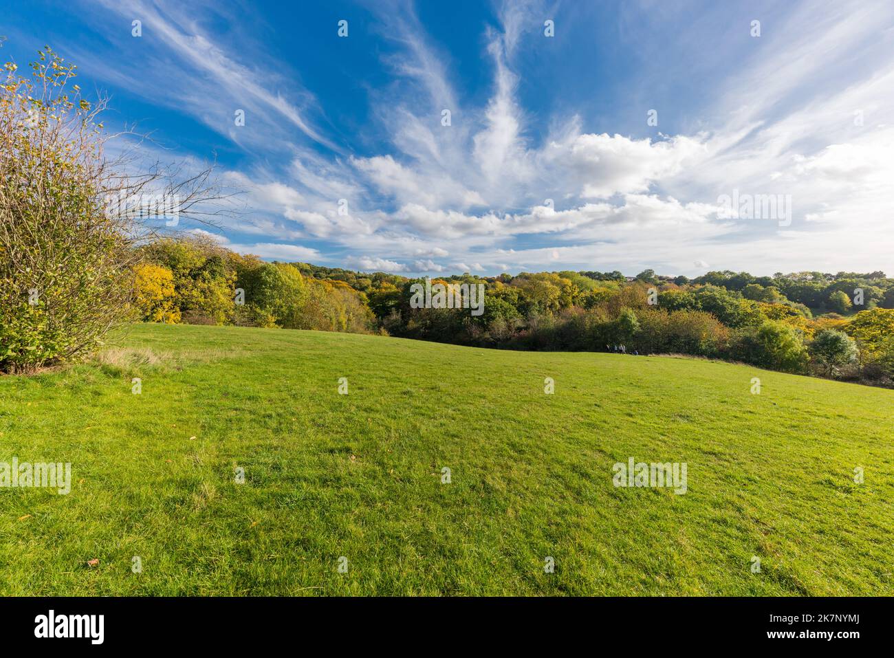 Autumn colour at The Leasowes Park which is a grade 1 listed park in