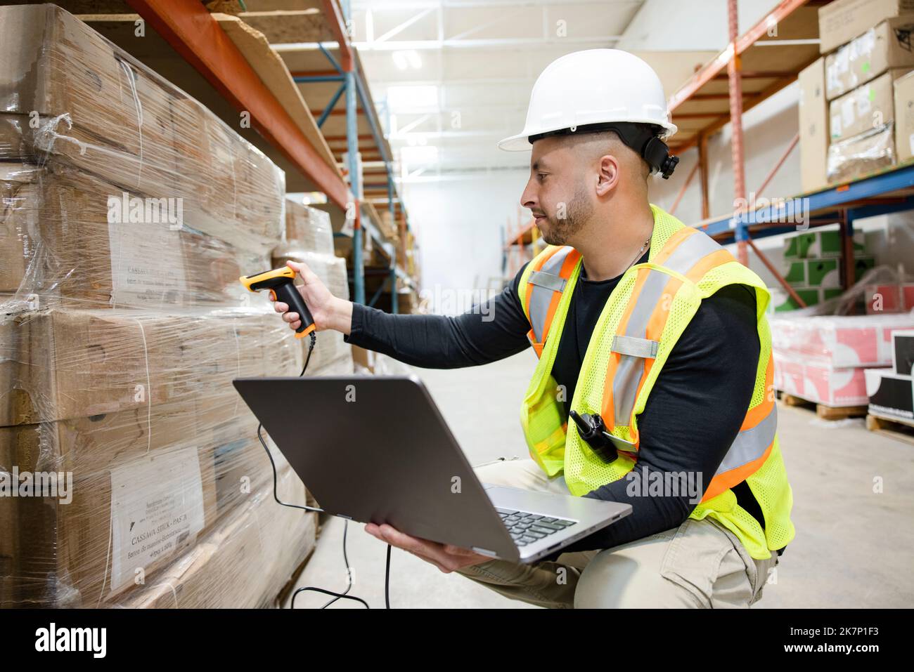 Male warehouse worker with laptop and scanner scanning boxes Stock