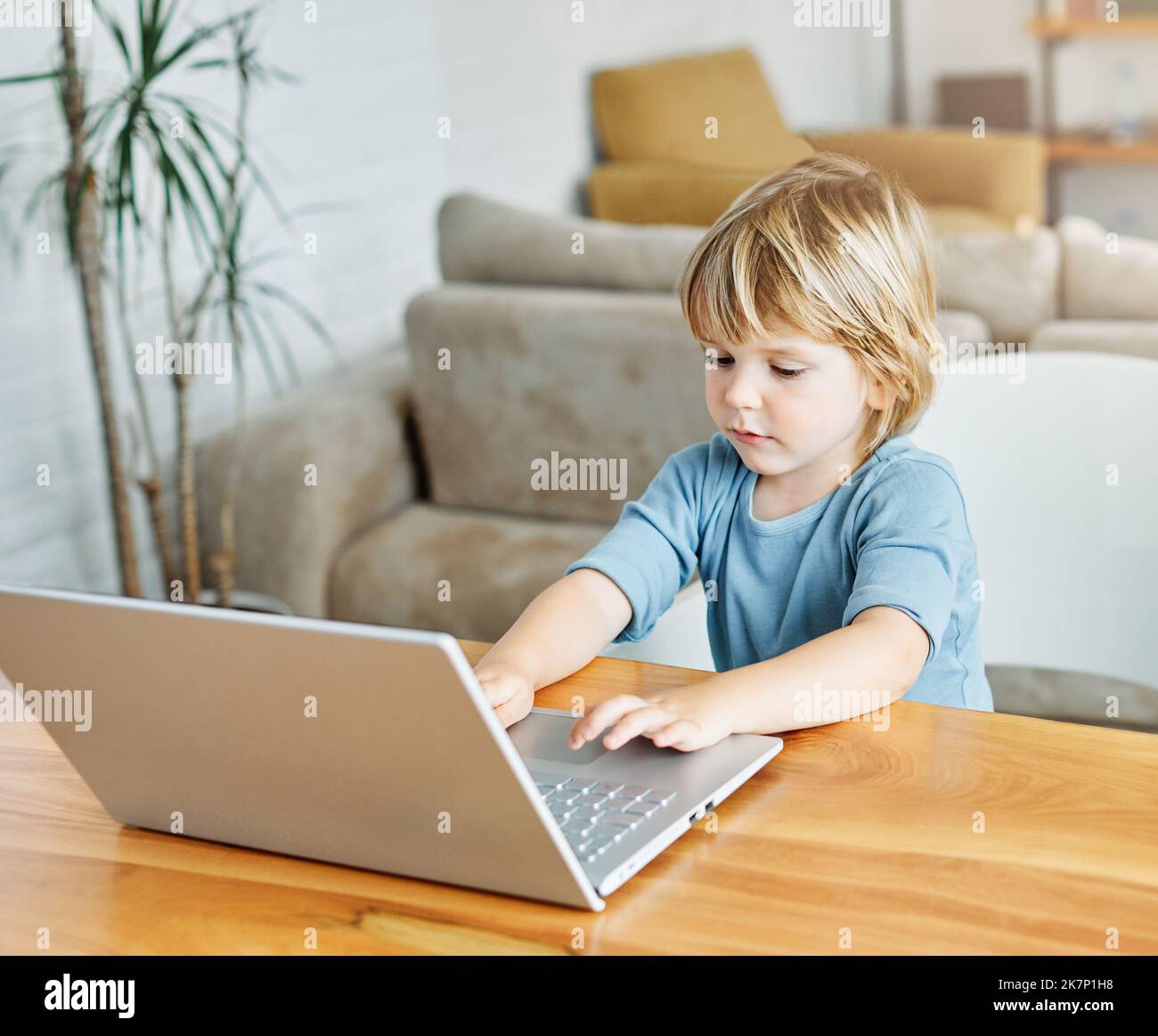 child laptop computer technology home boy son man education homework kid learning internet childhood student sitting connection using online Stock Photo