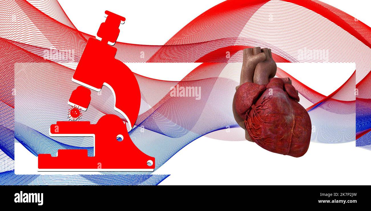 3d illustration  Anatomy of Human Heart Stock Photo