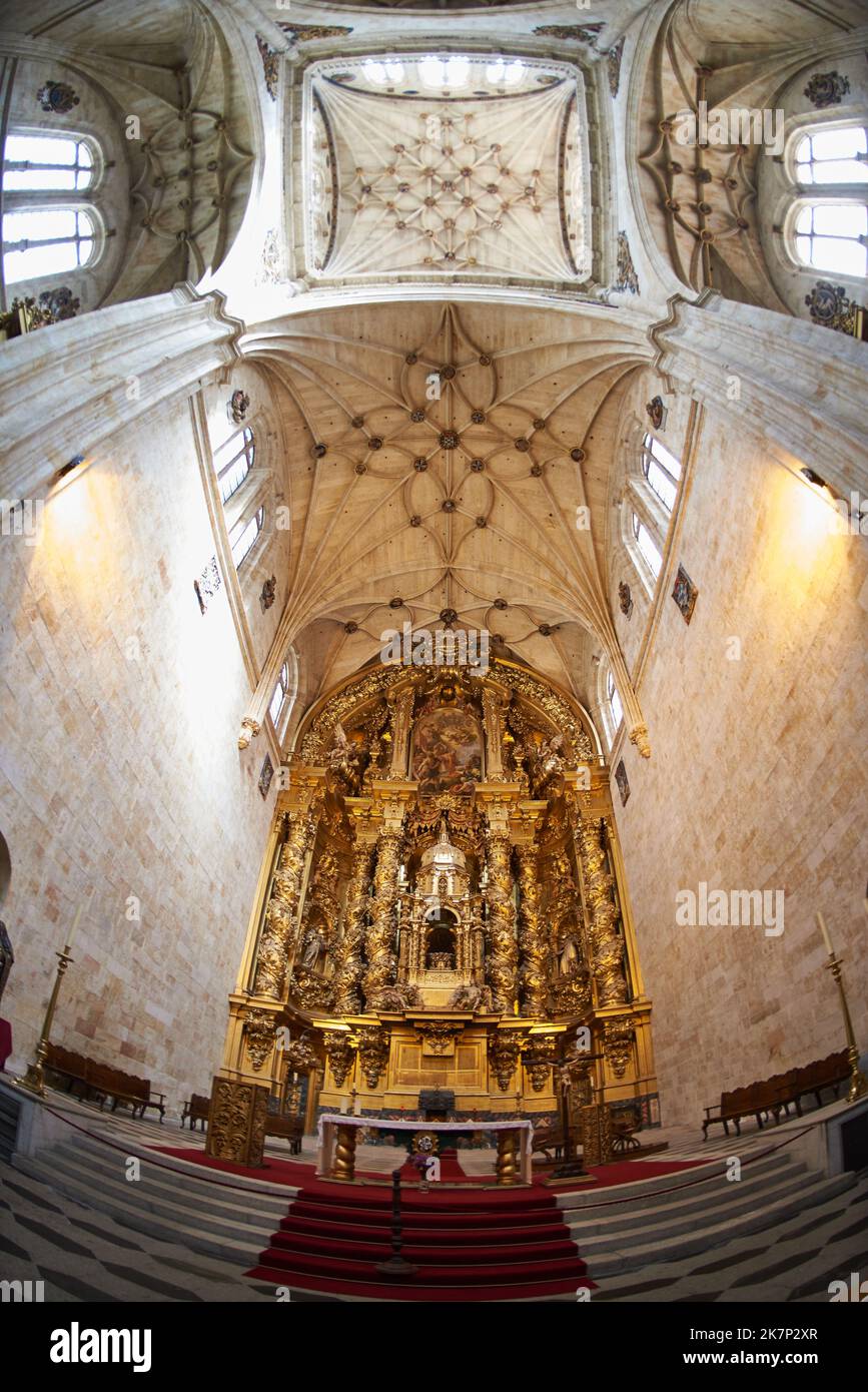 A Dominican monastery, the Convento de San Esteban (Saint Stephen) was built in 1524 on the initiative of Cardinal Juan Alvarez de Toledo., Salamanca Stock Photo