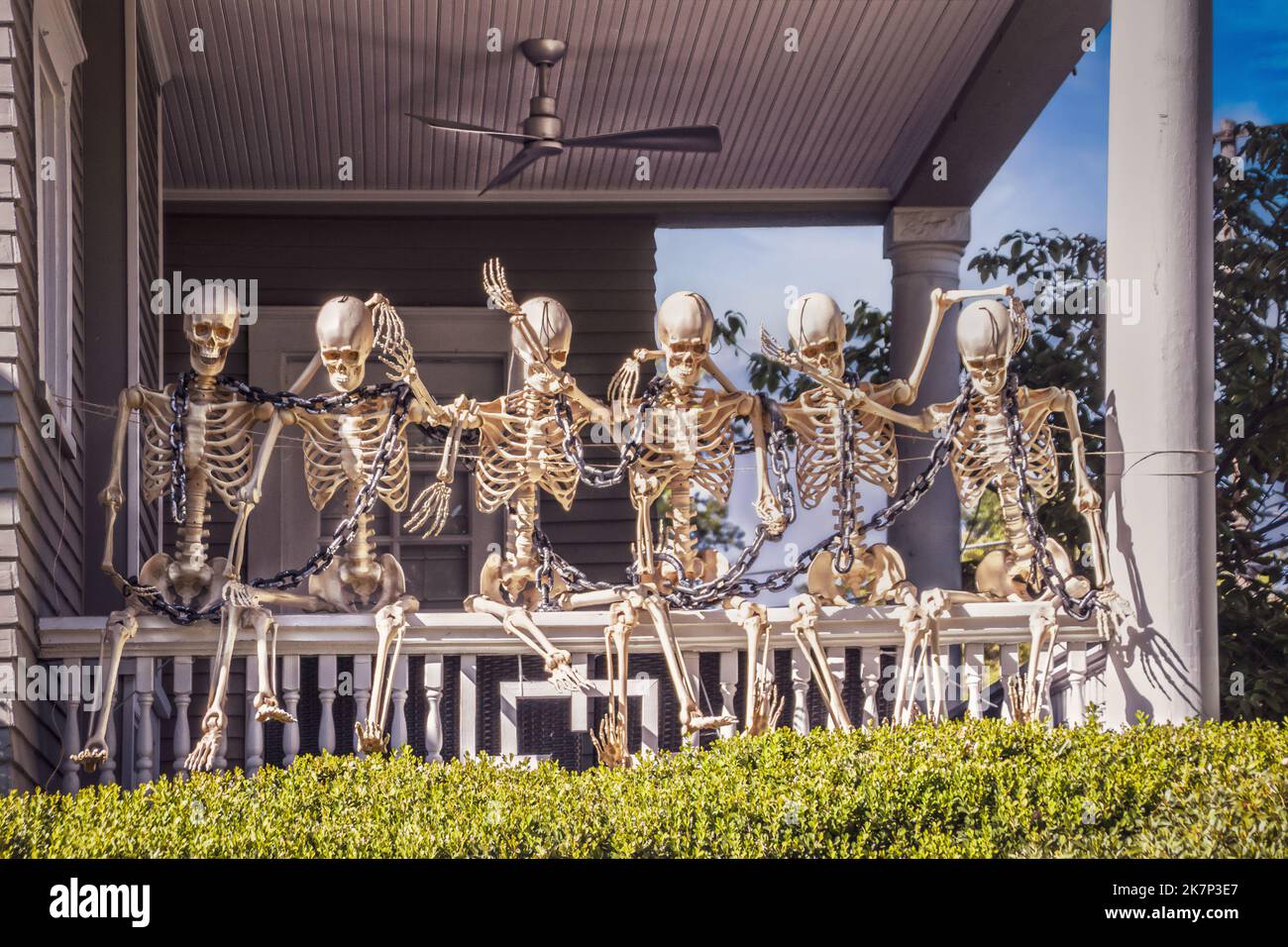 Life sized Skeleton Chain Gang sits on banister of vintage home porch - Halloween decoration Stock Photo
