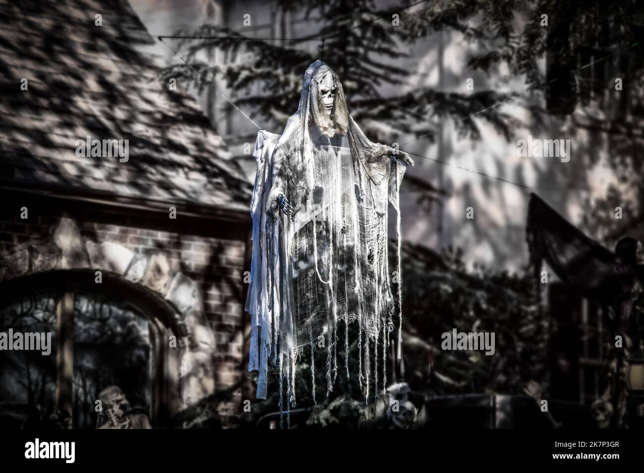Ragged ghost decorating neighborhood for Halloween -hanging from tree - dark gothic feel - almost monotone Stock Photo