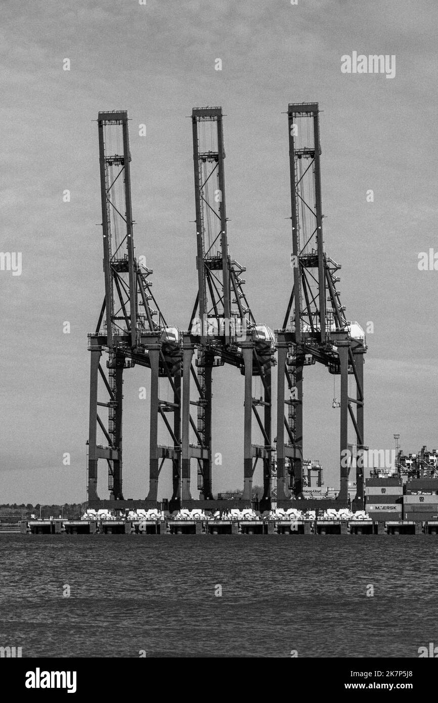 Feliistowe Suffolk UK February 1st 2022 Container Port from Opposite Inlet showing Container Ships and container handling gantry cranes Stock Photo
