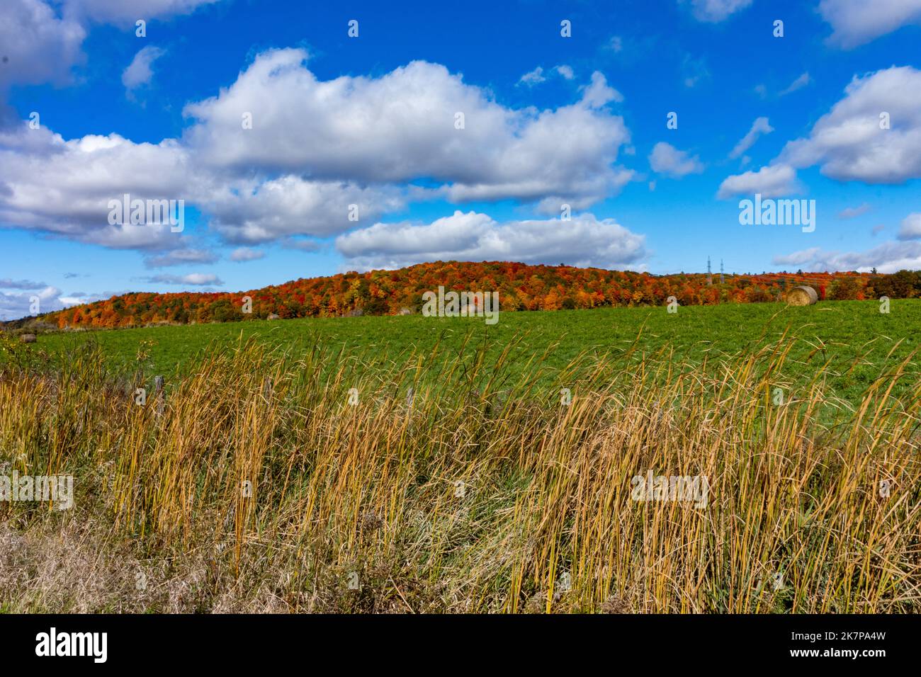 A grass field with hay bales sits in front of rolling autumn hills filled with dazzling colors; layers of grass, field, hills and cloud. Stock Photo