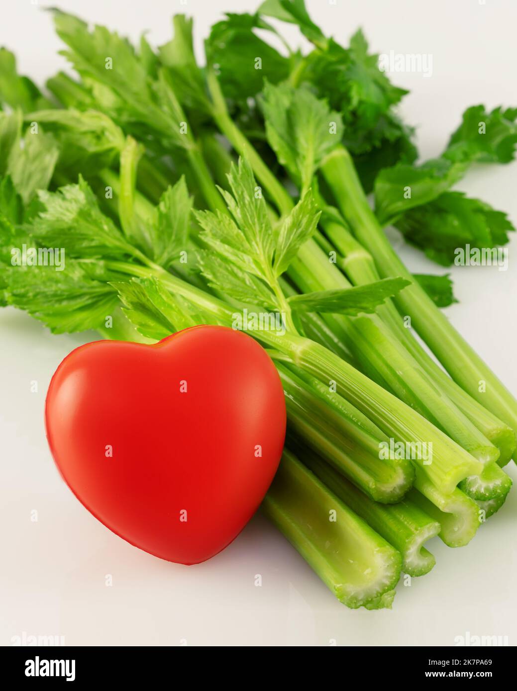 Celery with red heart on white background Stock Photo