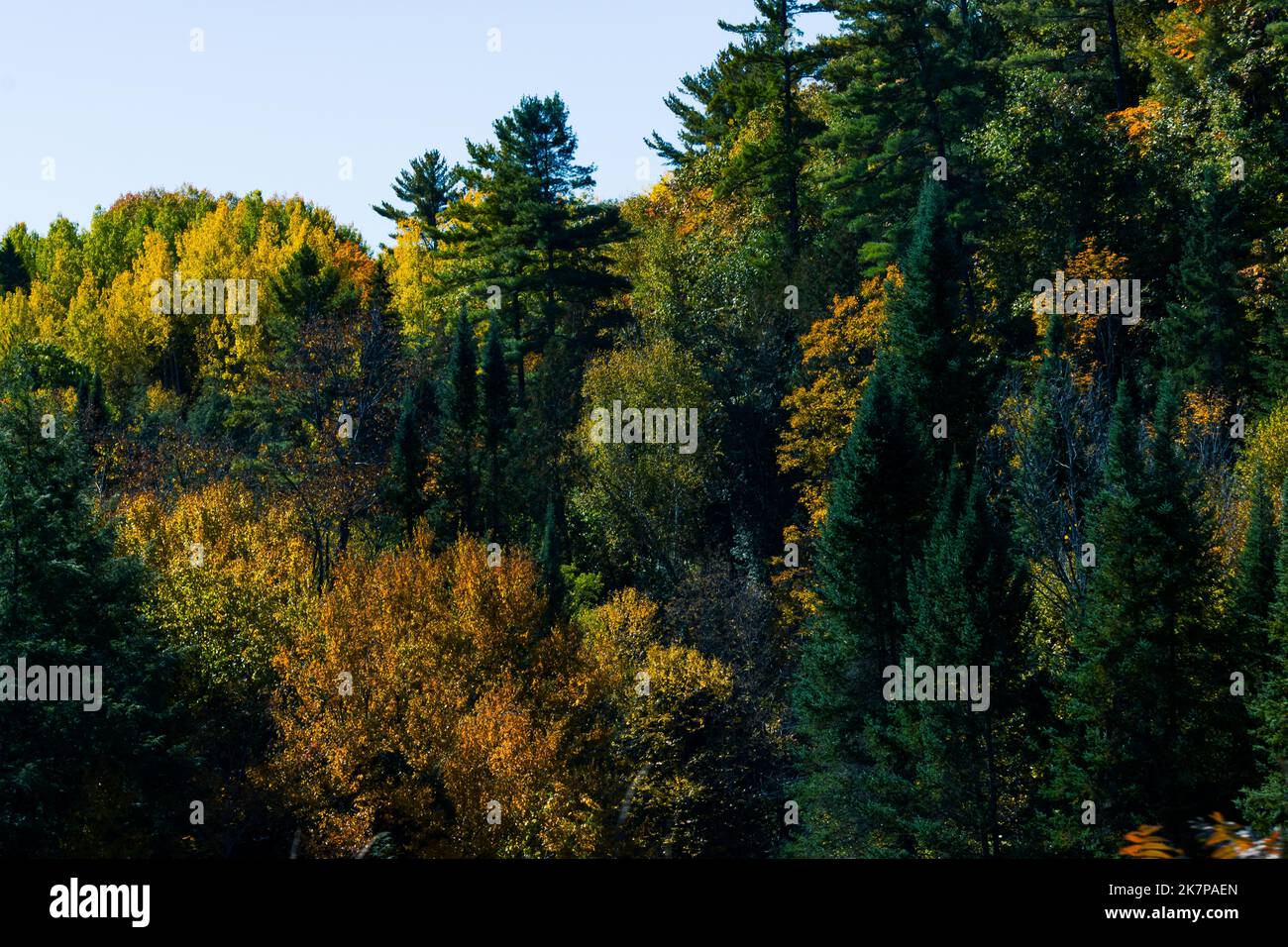 A deep dip in the rolling hills reveals a valley of assorted trees
