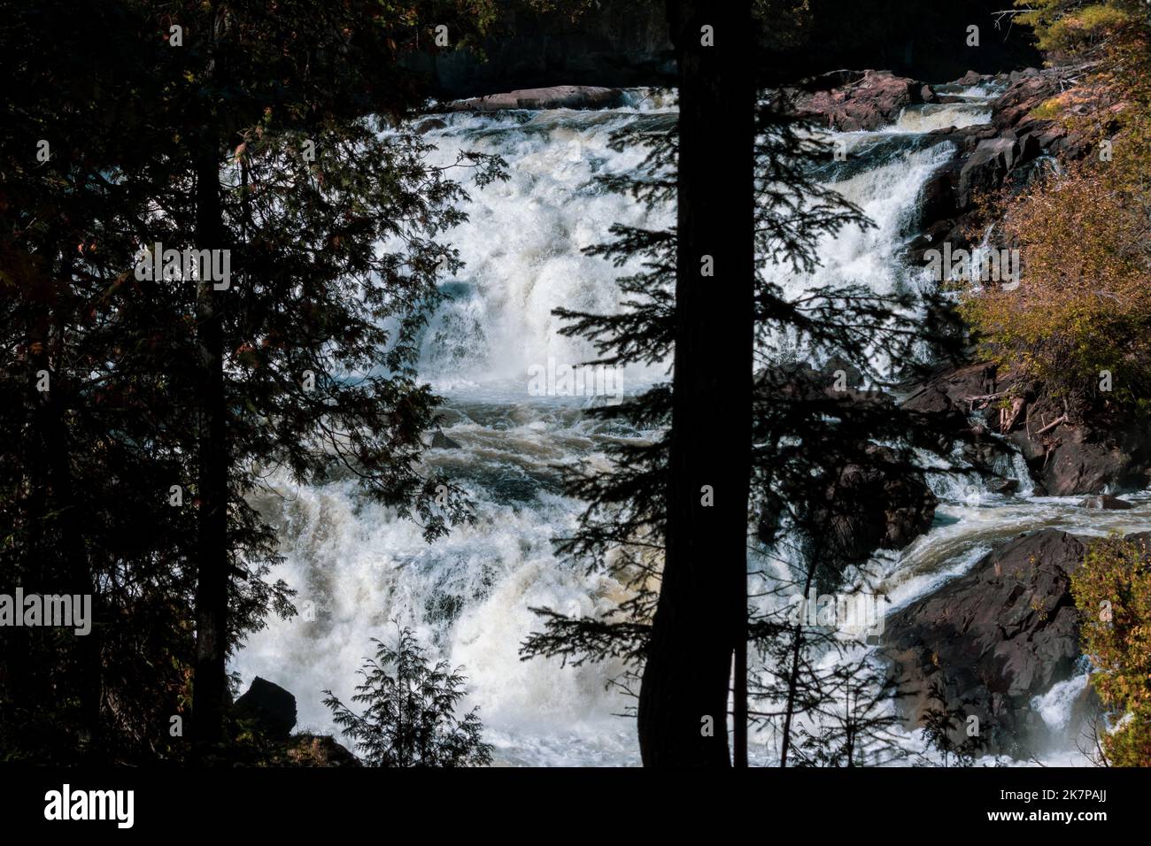 View of the Plaisance Waterfall through a screen of pine trees; a