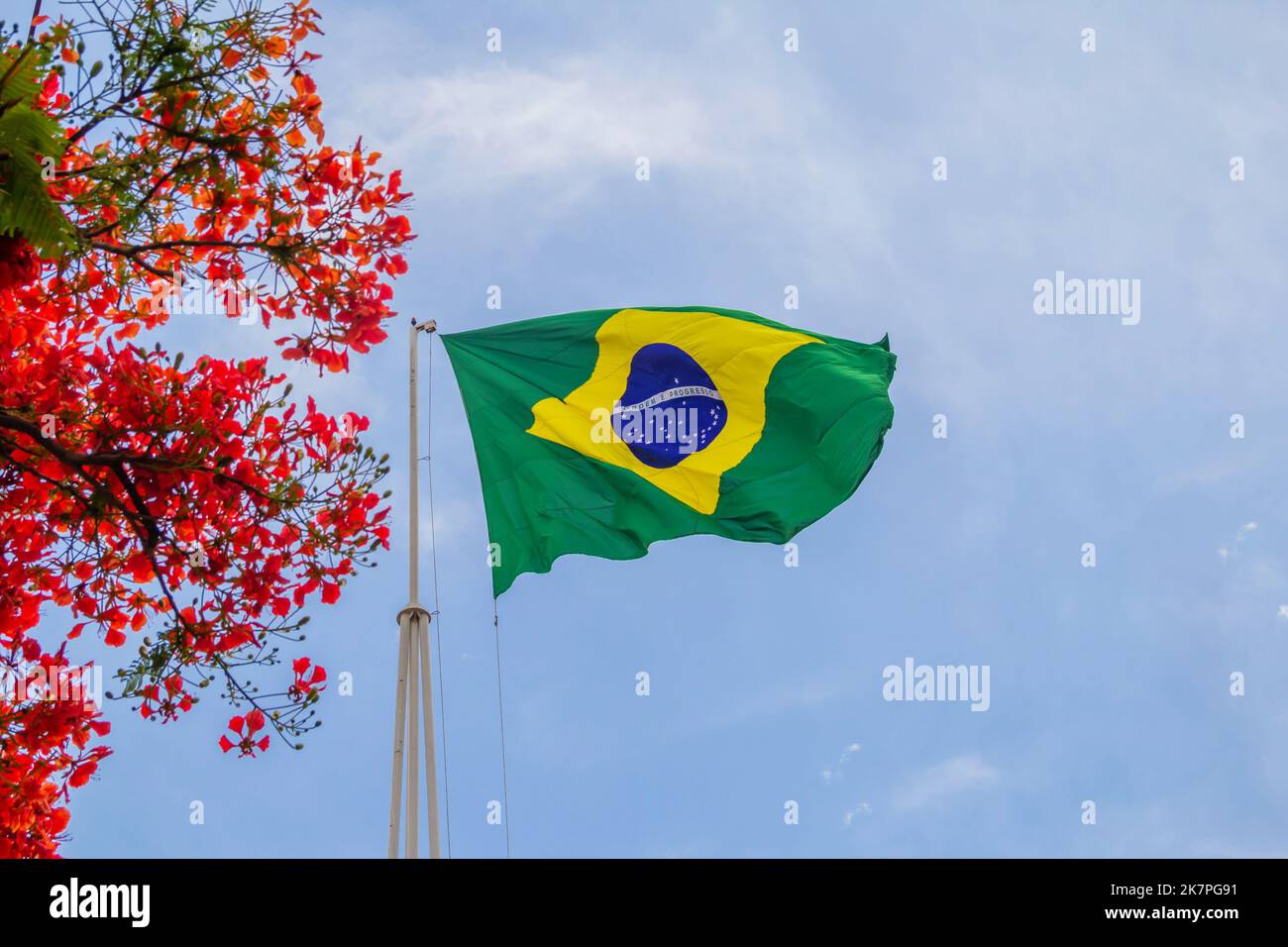 Bandeira do brasil hi-res stock photography and images - Page 3