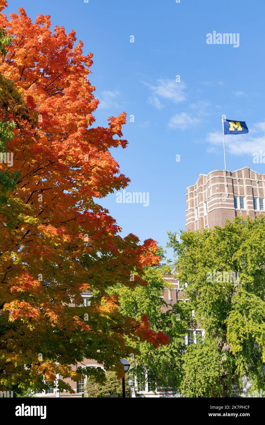University of Michigan flag flies over the student union with autumn colors in the foreground Stock Photo