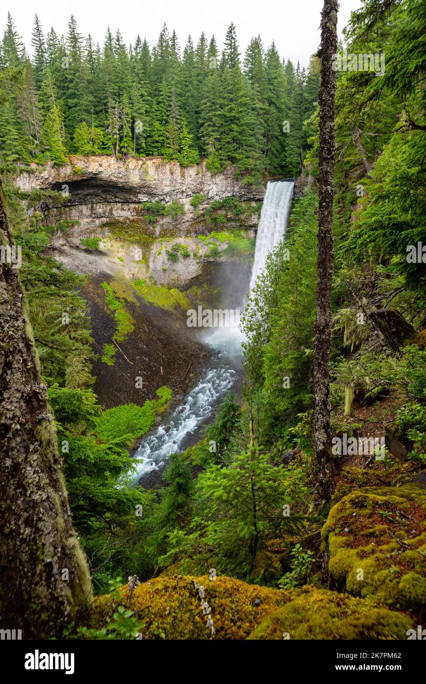 Brandywine Falls Provincial Park, Squamish, British Columbia, Canada