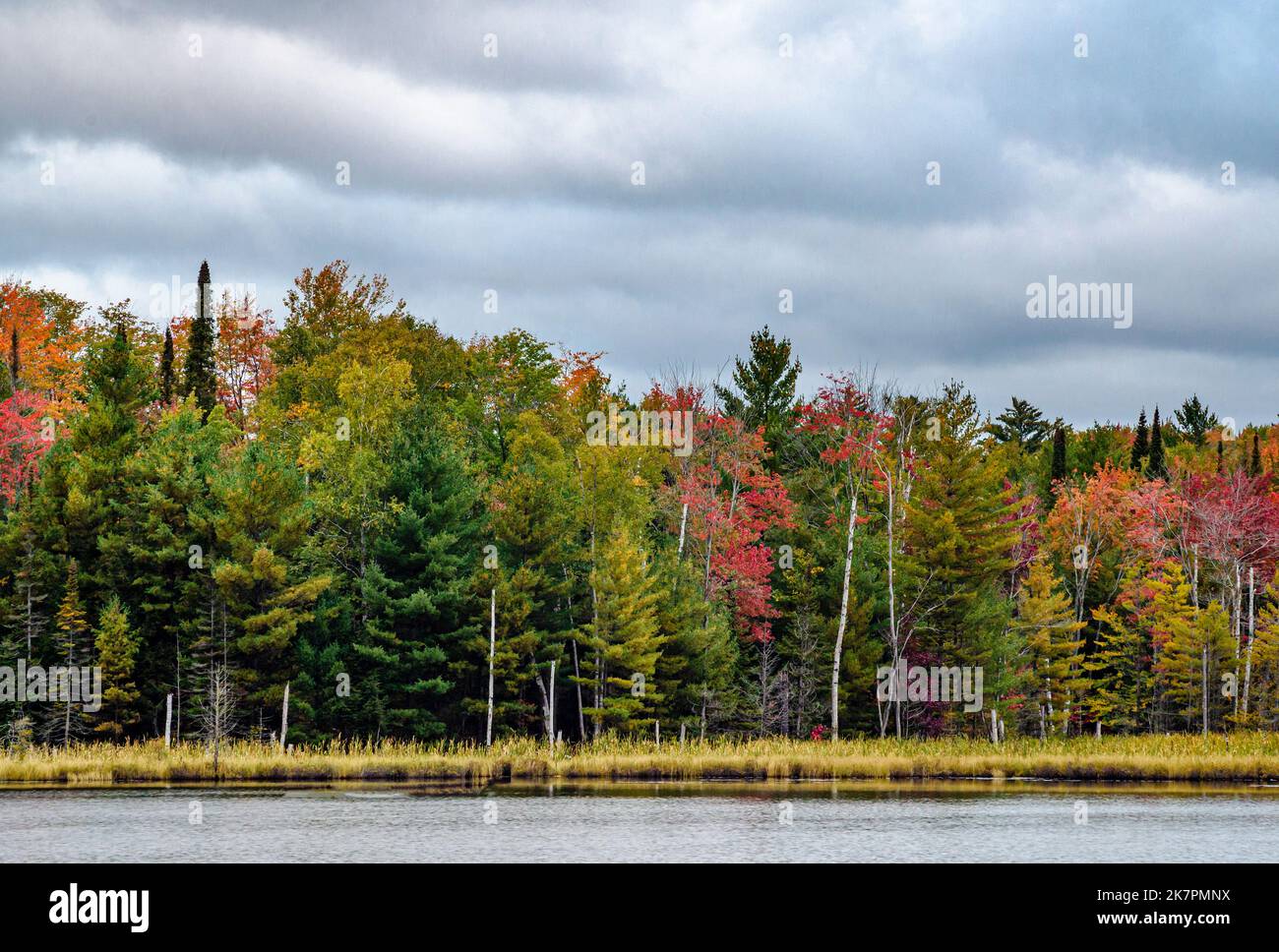 The shoreline of Council Lake in the Hiawatha National Forest shows the start of autumn color, Alger County, Michigan Stock Photo