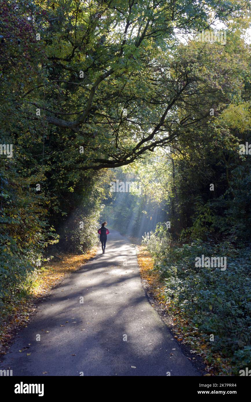 Morning Jogger on an autumnal morning with sunrays Stock Photo