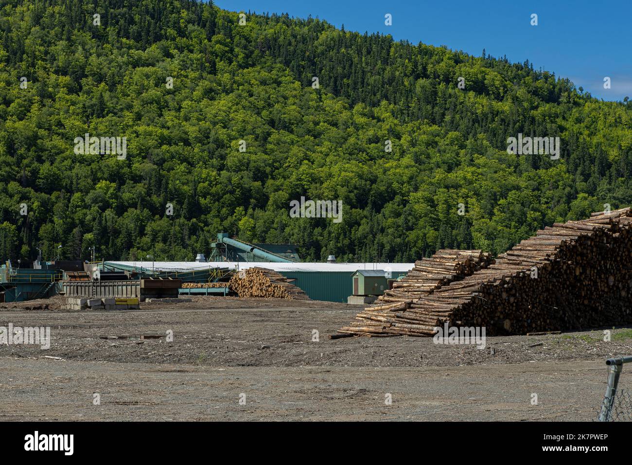 Bois Marsoui, owned by Groupe de Scieries GDS, is pictured in Marsoui on July 26, 2022. Stock Photo