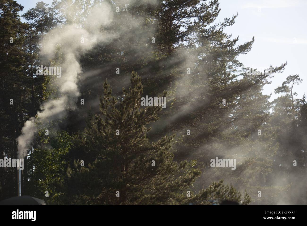 beautiful landscape, sun rays shine through trees Stock Photo - Alamy
