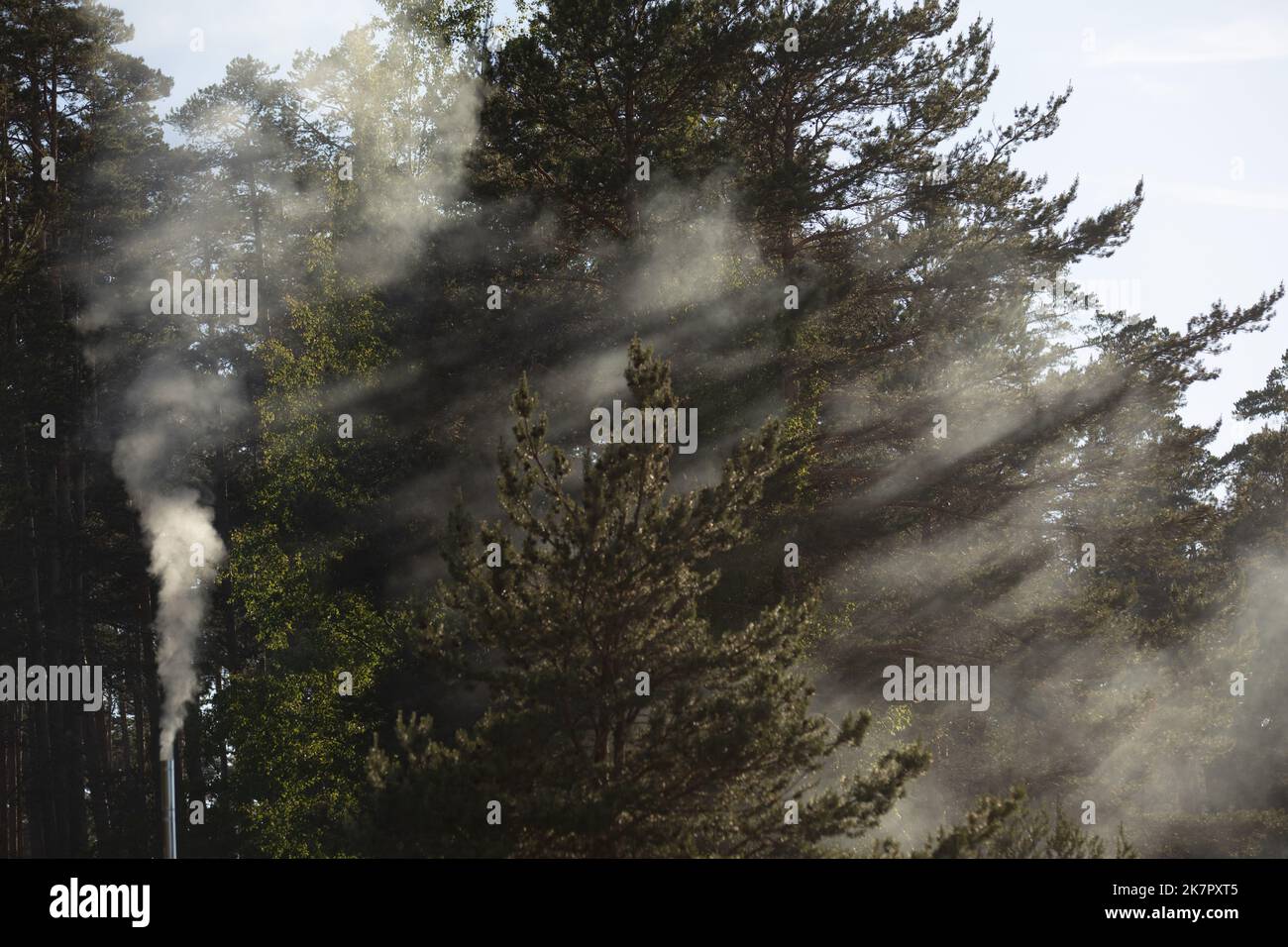 beautiful landscape, sun rays shine through trees Stock Photo - Alamy