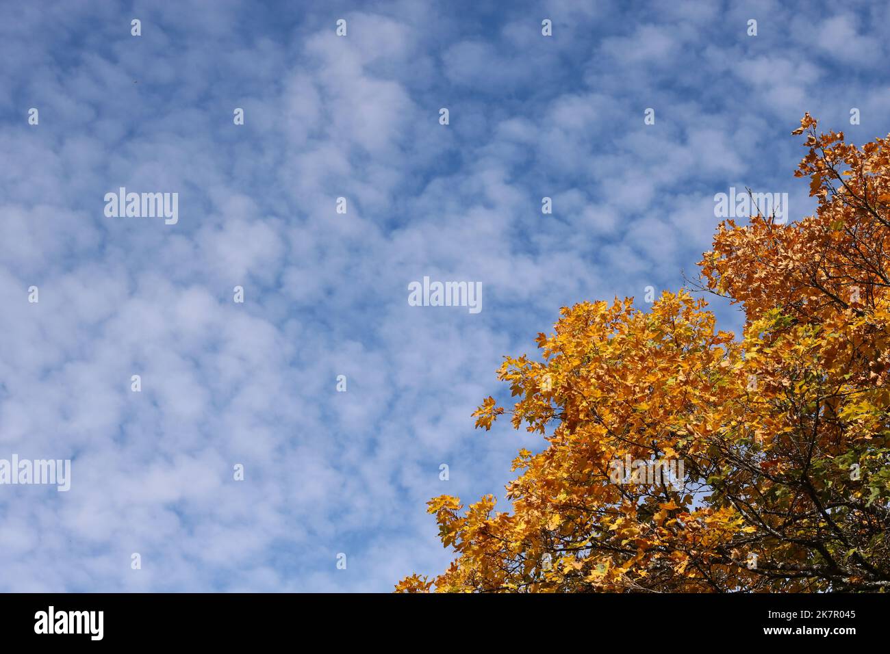 Autumn in the sky Stock Photo