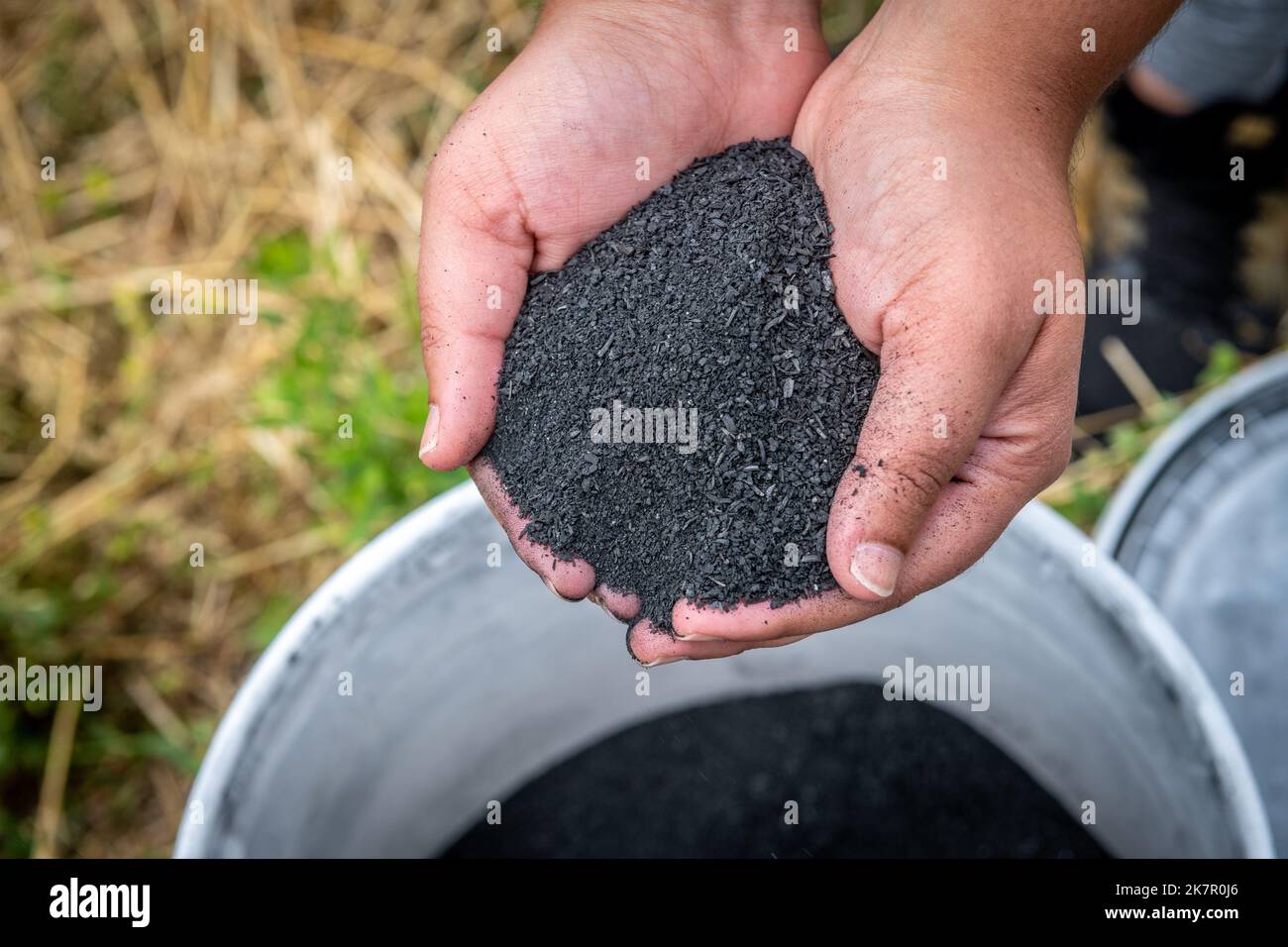 Hands holding Biochar over a bucket Stock Photo - Alamy