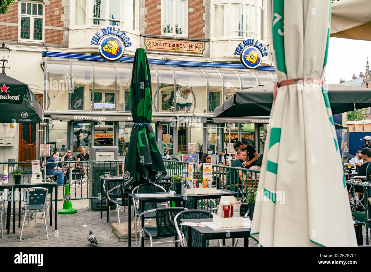 The Bulldog Palace is a cafe, coffee shop that sells marijuana and has