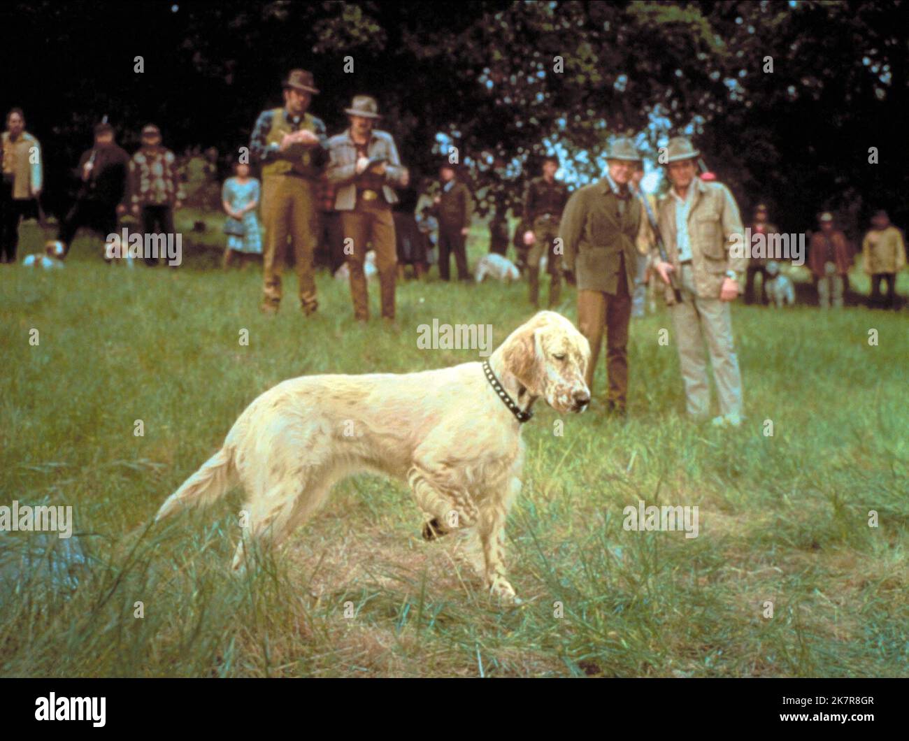 Movie Scene Film The Biscuit Eater (1978) Director Vincent Mceveety