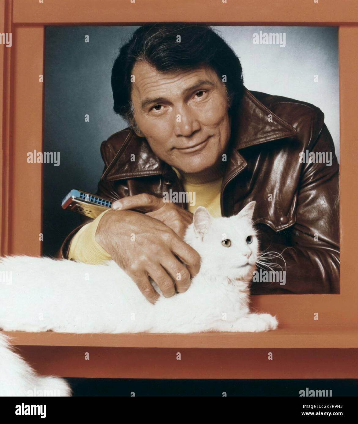 Jack Palance & Cat Film: Bronk (1970) Characters: Det. Lt. Alex 'Bronk' Bronkov &  Director: Carroll O'Connor 21 September 1975   **WARNING** This Photograph is for editorial use only and is the copyright of CBS and/or the Photographer assigned by the Film or Production Company and can only be reproduced by publications in conjunction with the promotion of the above Film. A Mandatory Credit To CBS is required. The Photographer should also be credited when known. No commercial use can be granted without written authority from the Film Company. Stock Photo