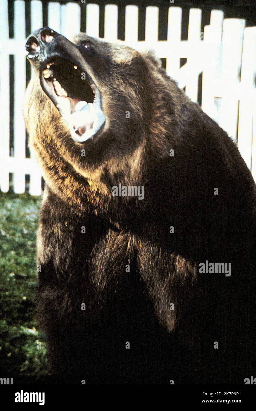 (未使用･未開封品)Grizzly Bears [DVD] Grizzly (1976) Blu-ray