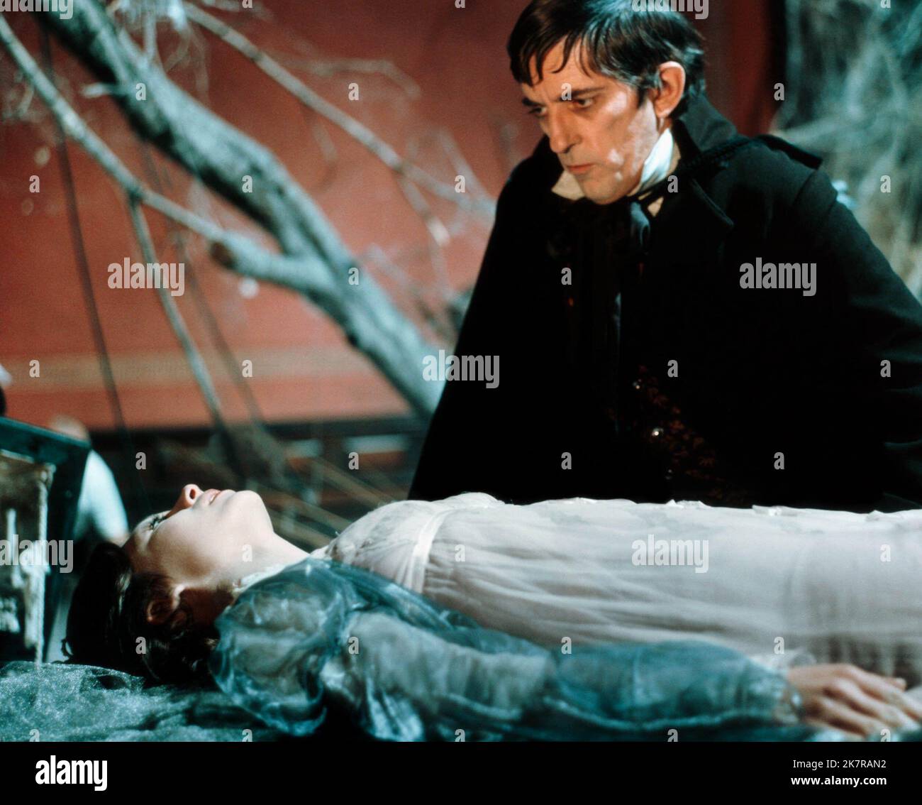 Maggie evans dark shadows hi-res stock photography and images - Alamy
