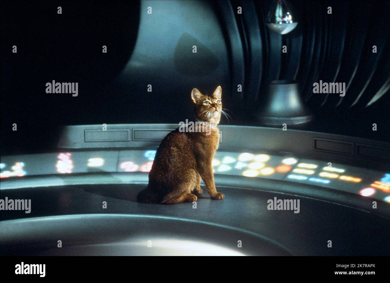 Jake The Cat Film: The Cat From Outer Space (USA 1978) Director: Norman