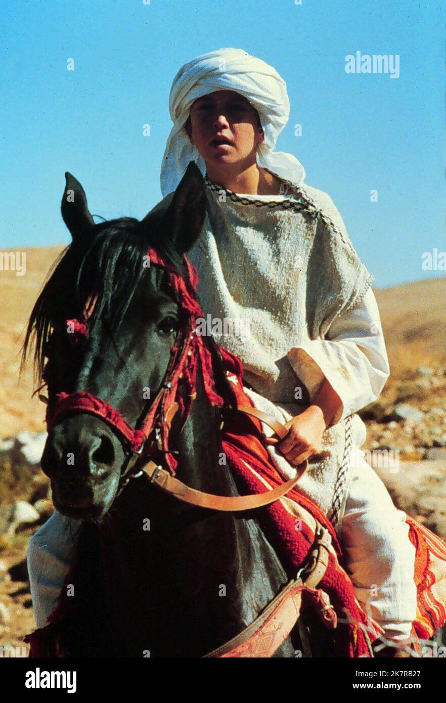 Kelly Reno  Film: The Black Stallion (USA 1979) Characters: Alec Ramsey &  / Based On The Book By Walter Farley Director: Carroll Ballard 13 October 1979   **WARNING** This Photograph is for editorial use only and is the copyright of UNITED ARTISTS and/or the Photographer assigned by the Film or Production Company and can only be reproduced by publications in conjunction with the promotion of the above Film. A Mandatory Credit To UNITED ARTISTS is required. The Photographer should also be credited when known. No commercial use can be granted without written authority from the Film Company. Stock Photo