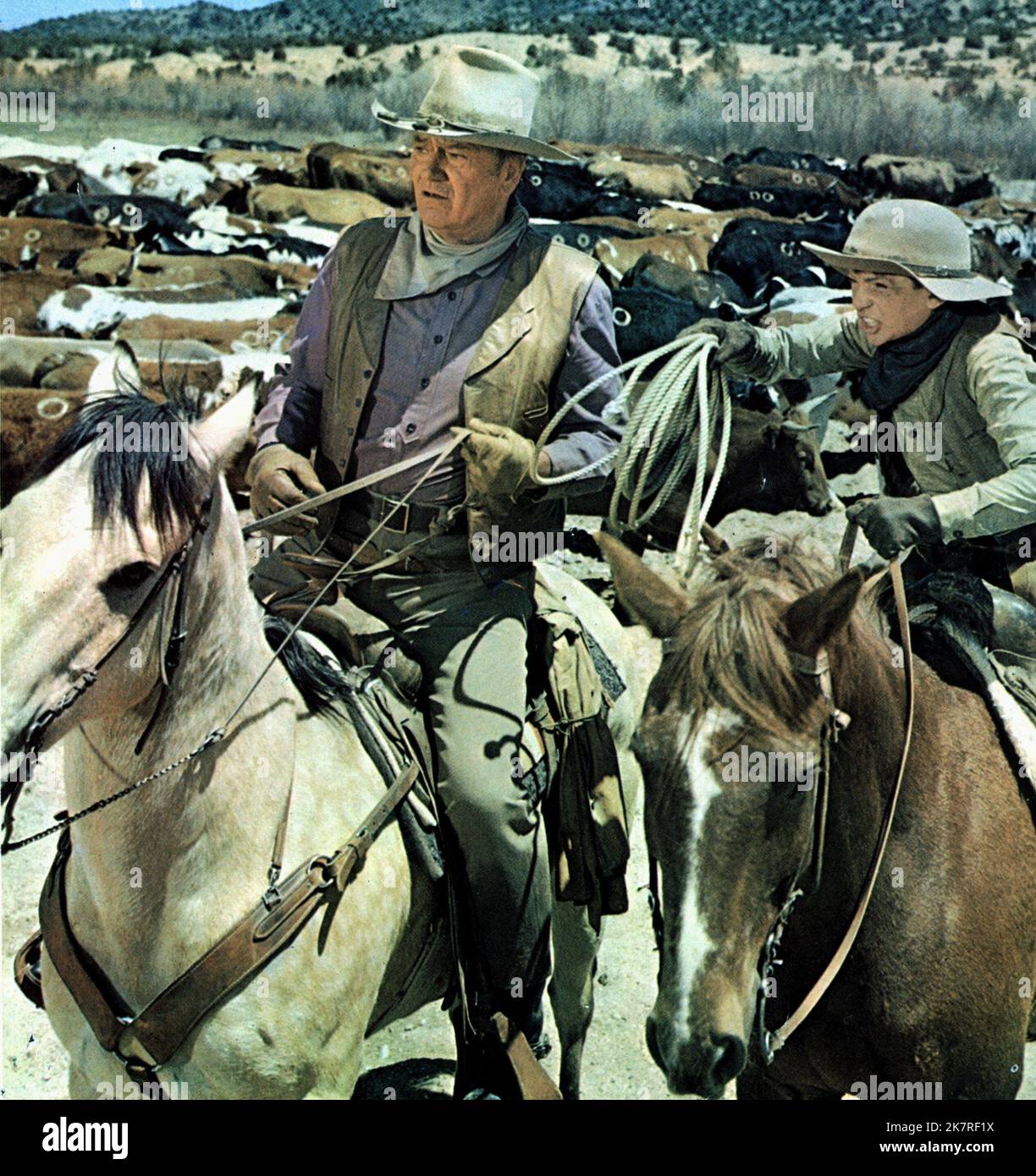 John Wayne Film: The Cowboys (1977) Characters: Wil Andersen  Director: Mark Rydell 13 January 1972   **WARNING** This Photograph is for editorial use only and is the copyright of SANFORD PRODUCTIONS and/or the Photographer assigned by the Film or Production Company and can only be reproduced by publications in conjunction with the promotion of the above Film. A Mandatory Credit To SANFORD PRODUCTIONS is required. The Photographer should also be credited when known. No commercial use can be granted without written authority from the Film Company. Stock Photo