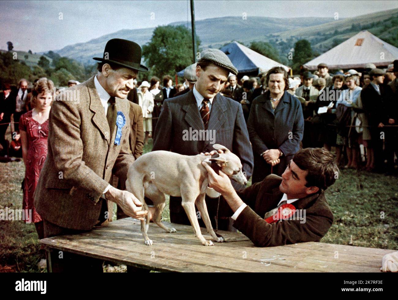 It shouldnt happen to a vet hires stock photography and images Alamy