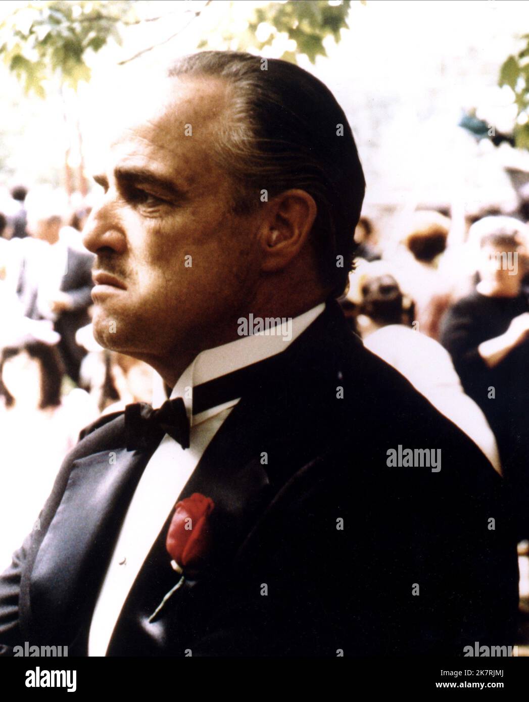 The Godfather - Don Vito Corleone Statue By DAMTOYS - The Toyark