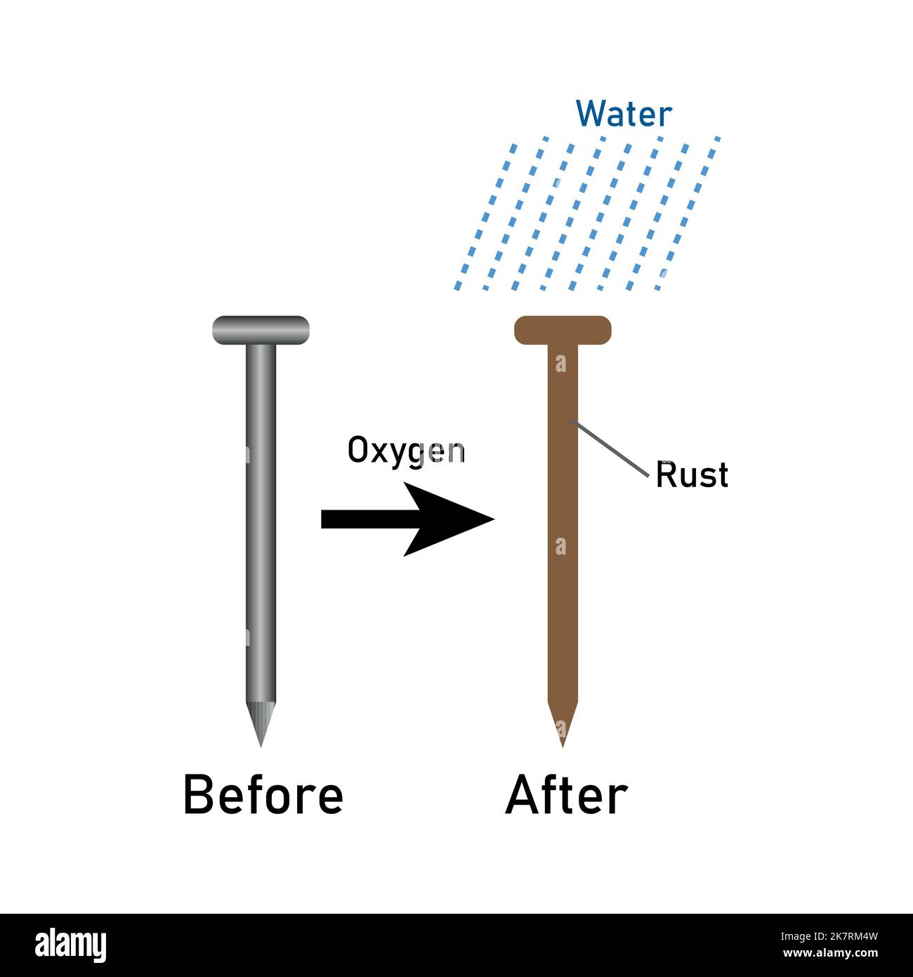 Oxidation Experiment: Does It Rust? - Teach Beside Me