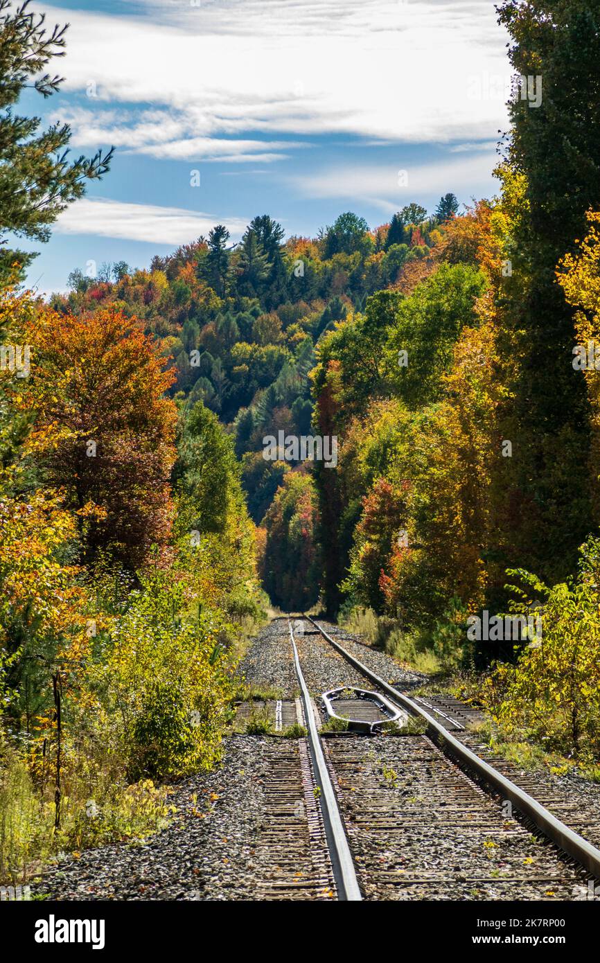 Empty train track leads into the forest in the autumn with fall colors