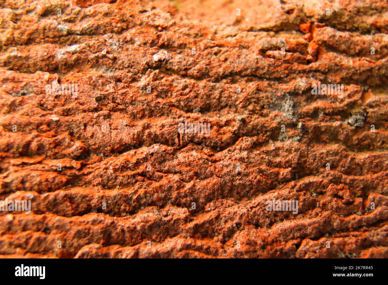 Defocus red brick texture macro closeup, old detailed rough grunge texture. Red brick texture macro closeup, old detailed rough grunge textured copy Stock Photo